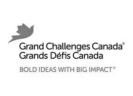 Grand challenges Ca